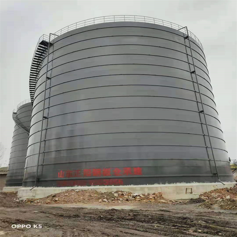 肃宁3万吨大型钢板库