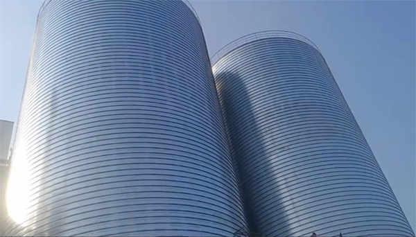 肃宁2座混凝土高架卷板仓